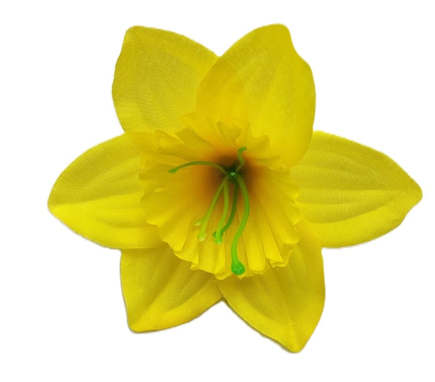 Średnie główki wyrobowe Żonkili op. 24 szt. 10 cm