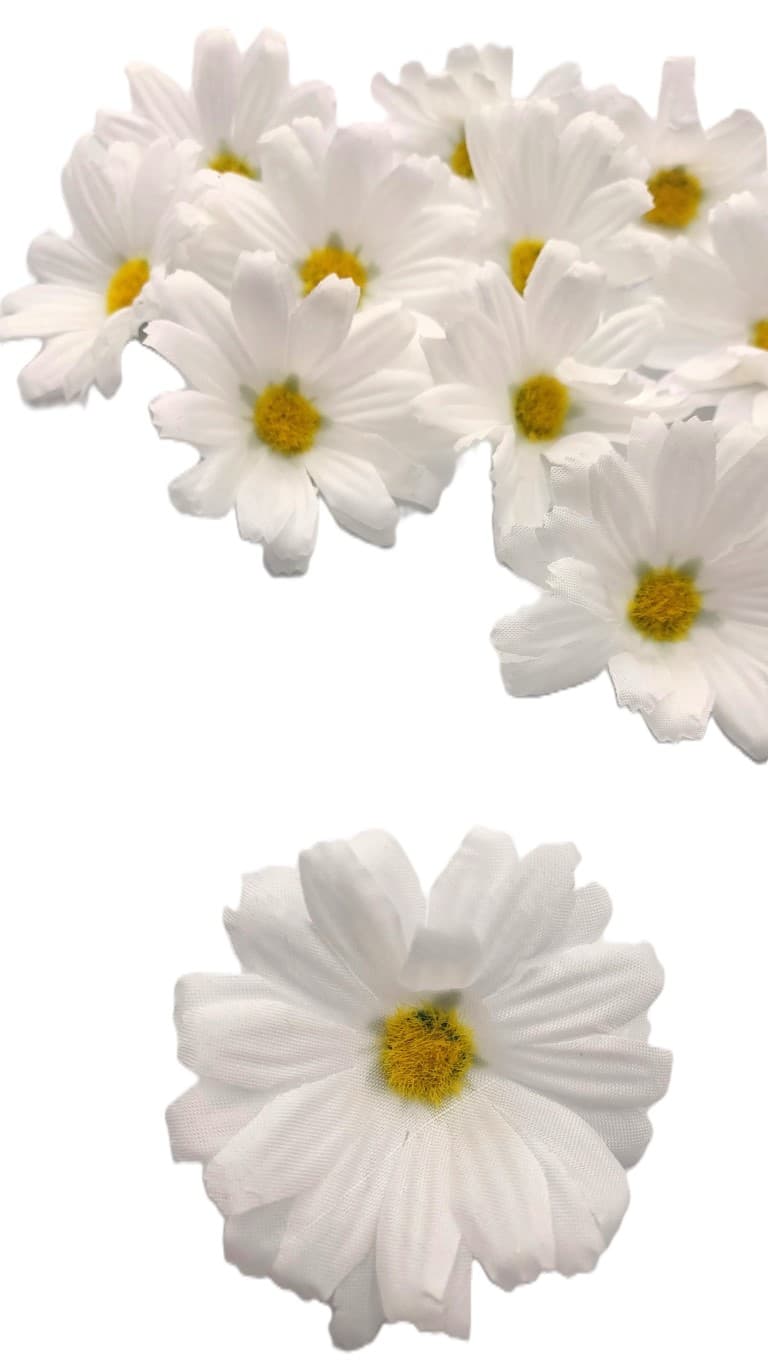 Małe główki wyrobowe Rumianku op. 12 szt. - 6 cm