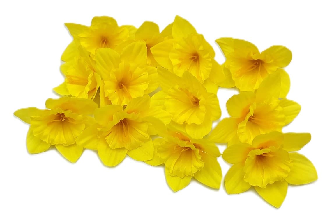 Małe główki Żonkili z pręcikami op. 12 szt. 6 cm