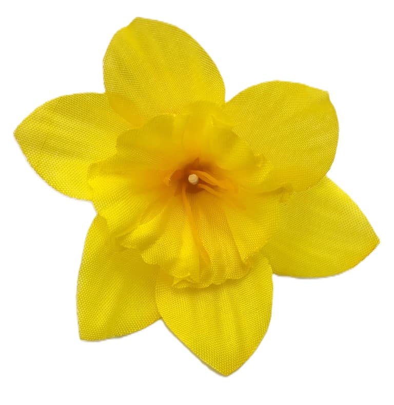 Małe główki Żonkili z pręcikami op. 12 szt. 6 cm