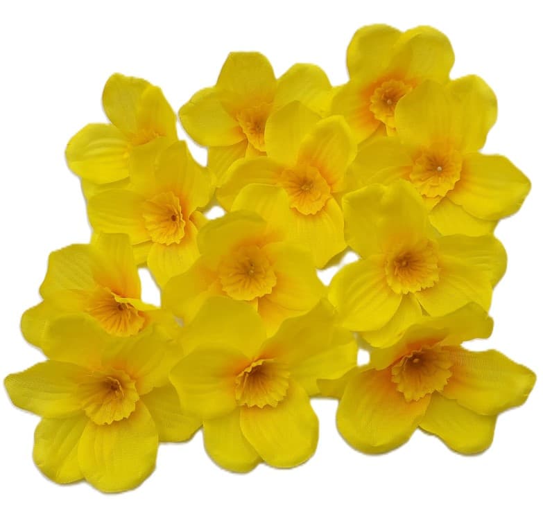 Małe główki Żonkili cieniowane op. 12 szt. 6 cm