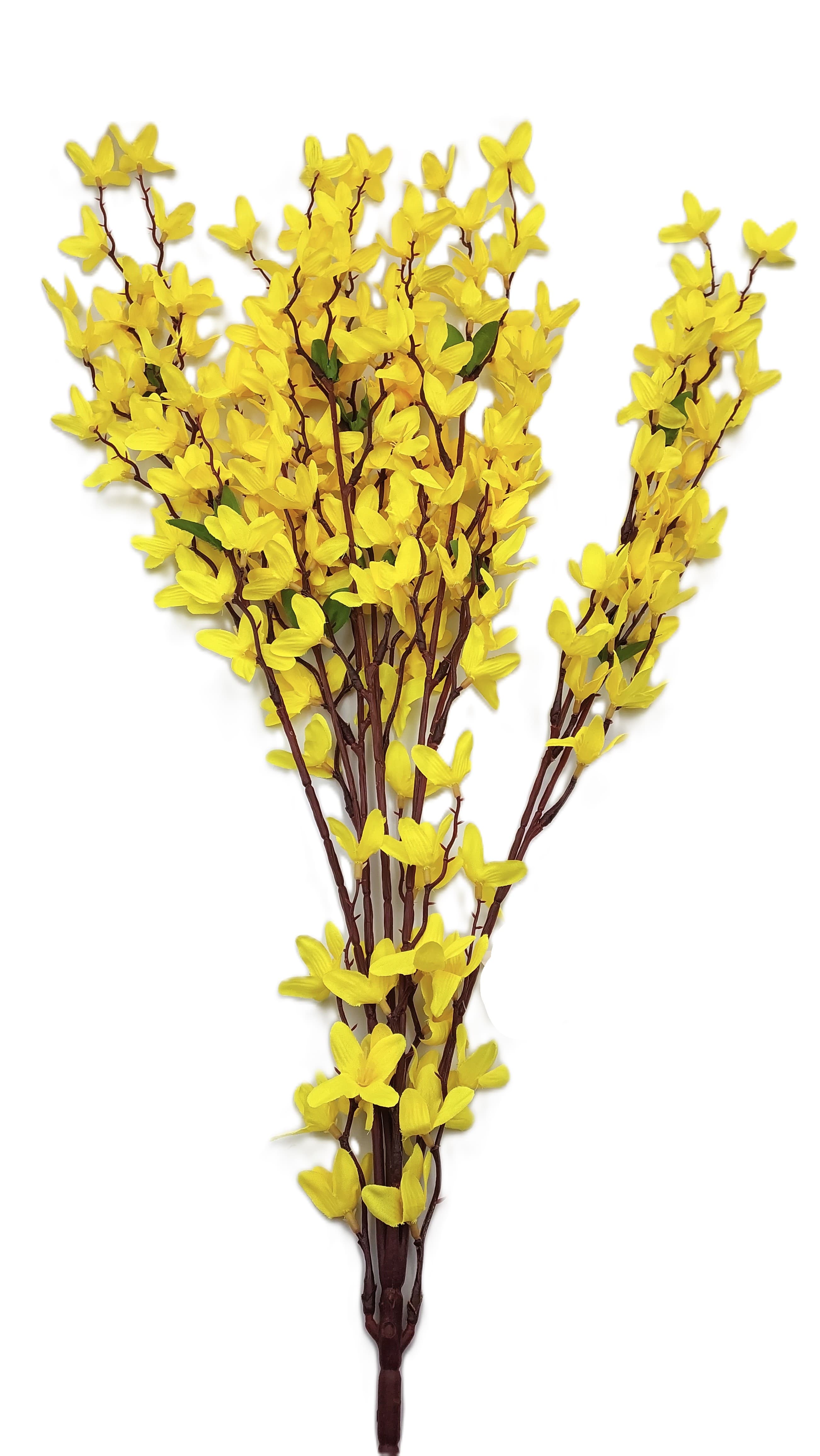 Forsycja - bukiet  wys. 74 cm