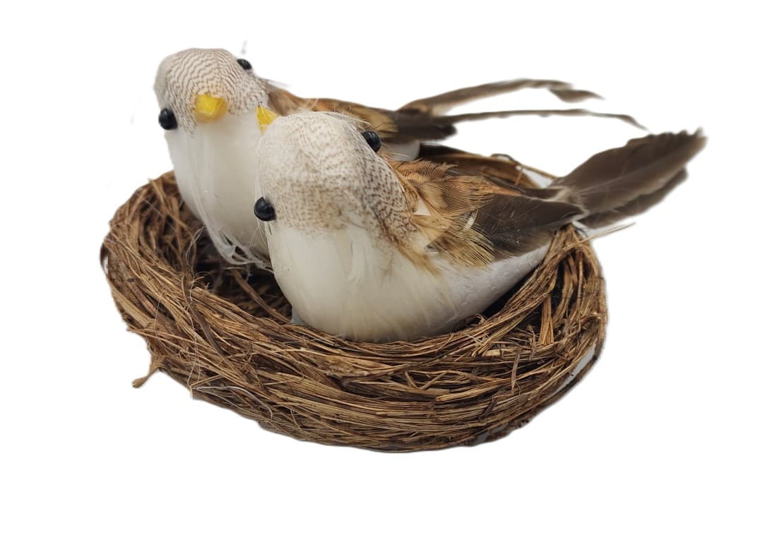 Ptaki naturalne beżowe średnie w gniazdku nr 02