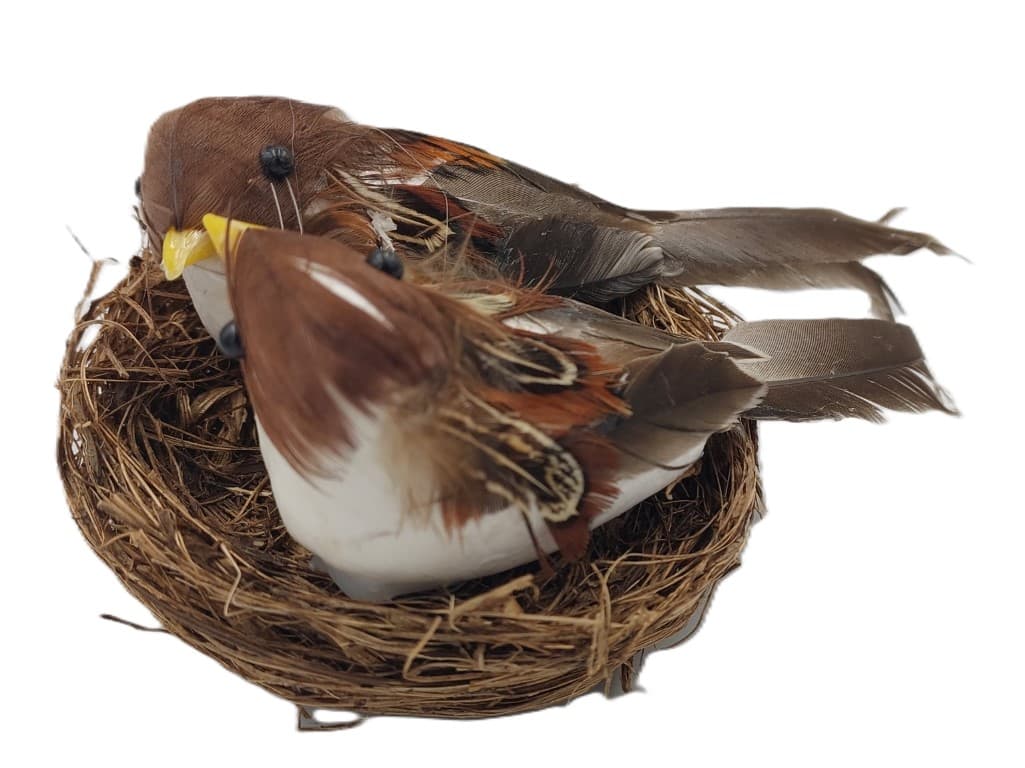 Ptaki naturalne brązowe średnie w gniazdku nr 03