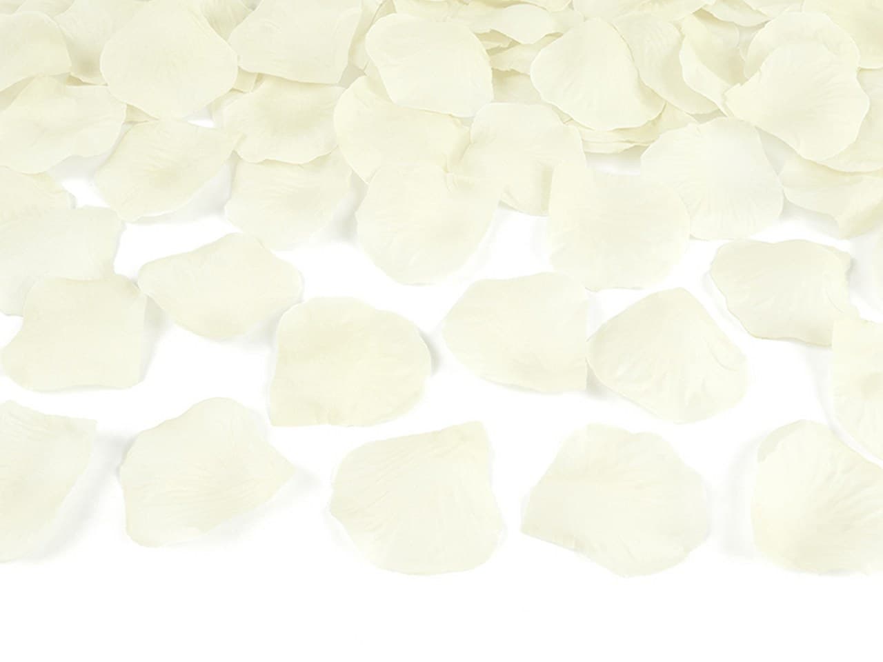 Wystrzałowe konfetti tuba 80cm kremowe płatki róż