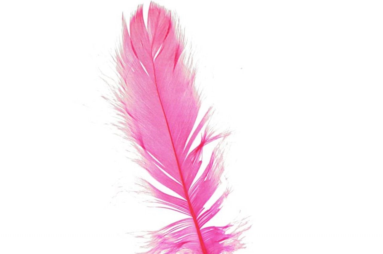 Piórka w torebce foliowej 15 gram, amarantowe